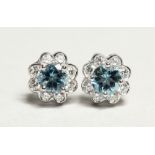 A PAIR OF 18CT. WHITE GOLD AND AQUAMARINE AND DIAMOND FLOWERHEAD DESIGN EAR STUDS. Aquamarine