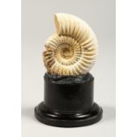 A SMALL AMMONITE on a circular base 4ins high