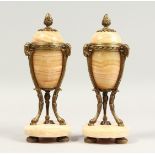 A GOOD PAIR OF 19TH CENTURY FRENCH MARBLE CASSOLETS with ormolu mounts and hoof feet. 10ins high