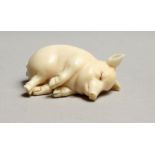 AN IVORY LUCKY PIG, GARRET & SONS, PICCADILLY. 1ins.