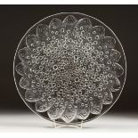 A GOOD LALIQUE CIRCULAR GLASS DISH DECORATED WITH FISH AND BUBBLES Etched Lalique, France 14ins