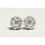 A PAIR OF 18CT WHITE GOLD AND DIAMOND CLUSTER EARRINGS, diamonds approx.0.5ct