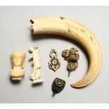 A BOARS’ TUSK and five small pieces (6).