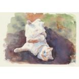 Mita Higton (b. 1945) Tumbling Cat , watercolour, signed and dated 2008 , 11 x 8.25 .