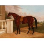 19th/20th century, study of a racehorse, oil on canvas, inscribed F. A. Oldmeadow - Pinxt 1863 ,