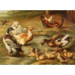 H. Hooper, A scene of chickens and ducks in a farm setting by a pond, oil on board, signed, 12 x