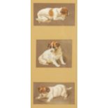 Late 19th century British, Three studies of a puppy in various poses, watercolour, initialled 'C. B.