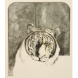 Bryan Organ (b. 1935) British, A head study of a tiger, Artist s Proof lithograph, signed, dated and