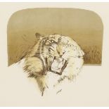 Bryan Organ (b. 1935) British, Tiger , Artist s proof lithograph, signed, dated and dedicated in