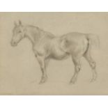 George Thomas Rope (1845-1929), Suffolk Horse I , A study of a horse, pencil sketch on paper, 8.
