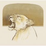 Bryan Organ (b. 1935) British, Lioness , Artist s proof lithograph, signed, dated and dedicated in