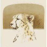 Bryan Organ (b. 1935) British, Cheetah , Artist s proof lithograph, signed, dated and dedicated in