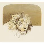 Bryan Organ (b. 1935) British, Lion , Artist s proof lithograph, signed, dated and dedicated in