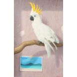 Brian McCarthy (b. 1960) Irish, Blue Lagoon , A yellow crested cockatoo perched on a branch, oil