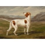 C. Harrison, British, Study of a dog, oil on panel, signed, 5 x 7 .