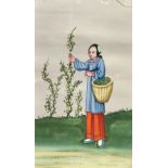 Chinese school 19th century, an album of twelve watercolours on pith paper regarding tea, 7.25" x