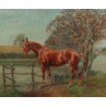 Robert Rasell (act. 1868-1880), A study of a horse watering by a river, oil on canvas, signed, 18