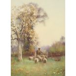 Benjamin Sigmund (1857-1947) British, A Shepherd and his flock beneath blossom, watercolour, signed,