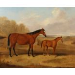 J. Buckland, 19th century British, A mare and a foal on a pasture, oil on canvas, signed and