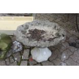 A shell shaped reconstituted stone bird bath.