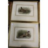 Archibald Thorburn, Cock and Hen Pheasants, colour prints, a pair.