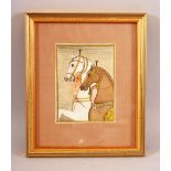 A SMALL SIGNED INDIAN MINIATURE PAINTING - depicting two horses, framed 22cm x 19cm