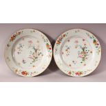 A PAIR OF 18TH CENTURY CHINESE FAMILLE ROSE PORCELAIN PLATES - each decorated with native floral
