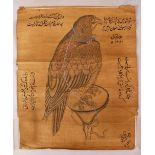 A FINE LARGE INDO PERSIAN INSCRIBED DRAWING OF A FALCON, unframed, 46cm x 38.5cm.