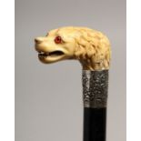 AN IVORY DOG'S HEAD HANDLE WALKING STICK.