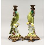 A PAIR OF ORNATE PORCELAIN AND ORMOLU CANDLESTICKS, modelled as parrots seated on a tree stump.