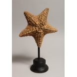 A STARFISH SPECIMEN on a stand.