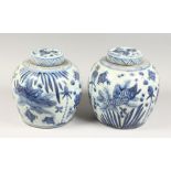 A PAIR OF LARGE CHINESE BLUE AND WHITE GINGER JARS AND COVERS.
