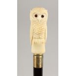 A WALKING STICK, the bone handle carved as an owl. 39ins long.