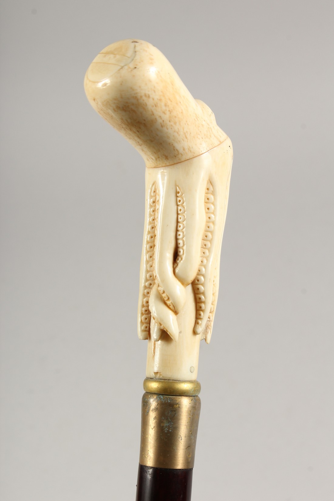 A WALKING STICK, the bone handle carved as an octopus 35.5ins long - Image 3 of 5