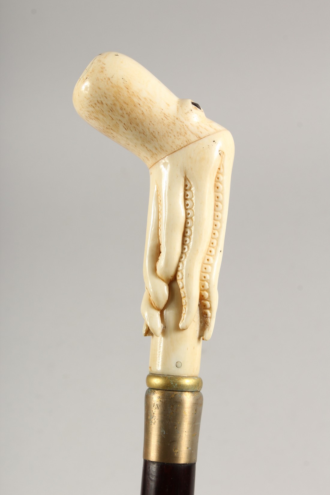 A WALKING STICK, the bone handle carved as an octopus 35.5ins long - Image 4 of 5