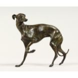 A SMALL BRONZE WHIPPET, POSSIBLY BY MENE, standing, holding up it's front legs 5ins long.