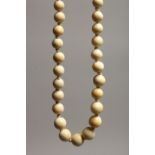 A GRADUATED IVORY BEAD NECKLACE of sixty one beads. 19ins long