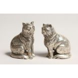 A PAIR OF STERLING SILVER CAT SALT AND PEPPERS.