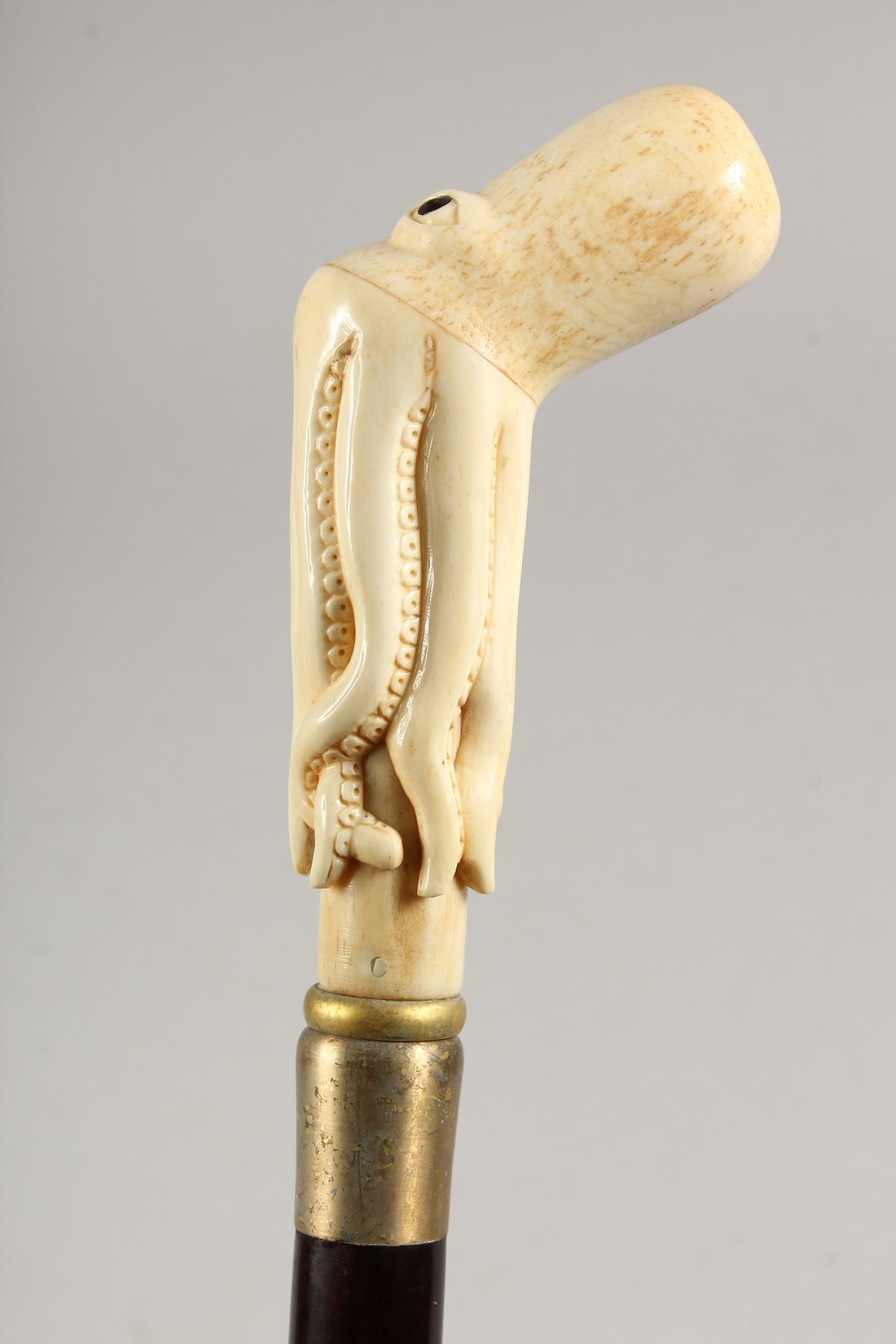 A WALKING STICK, the bone handle carved as an octopus 35.5ins long - Image 2 of 5