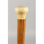 A VICTORIAN IVORY HANDLE WALKING CANE