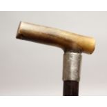 A GOOD 19TH CENTURY RHINO HANDLE WALKING STICK with silver band Birmingham 1878.