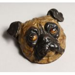 A COLD PAINTED BRONZE PUG DOG HOLDER 2.5ins