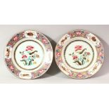 A PAIR OF LATE 19TH CENTURY FAMILLE ROSE PORCELAIN PLATES, painted to the centre and border with