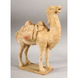 A CHINESE TANG STYLE TERRACOTTA MODEL OF A CAMEL, 30cm high, 23cm long.