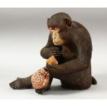 A WELL MODELLED JAPANESE POTTERY FIGURE OF A SEATED MONKEY, 23cm high.