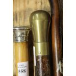 A brass topped walking stick.