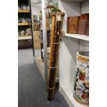A collection of walking sticks.