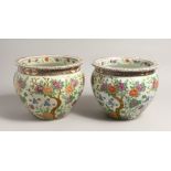 A PAIR OF JAPANESE DESIGN CIRCULAR JARDINIERE painted with flowers 8ins high.