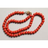 A RED CORAL NECKLACE with gold clasp.
