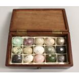 A COLLECTION OF SPECIMEN EGGS in a mahogany case